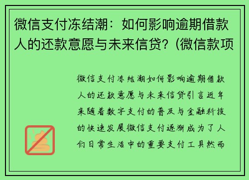 微信支付冻结潮：如何影响逾期借款人的还款意愿与未来信贷？(微信款项被冻结)